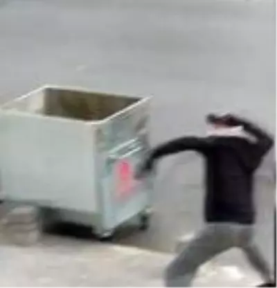 Bunu da gördük! Hırsızlar gündüz vakti kendilerini uyaran vatandaşları taşladı Bunu da gördük! Hırsızlar gündüz vakti kendilerini uyaran vatandaşları taşladı