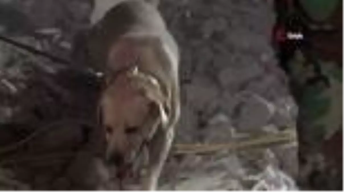 Son dakika: Gence'de hayatını kaybedenlerin sayısı 10'a yükseldi