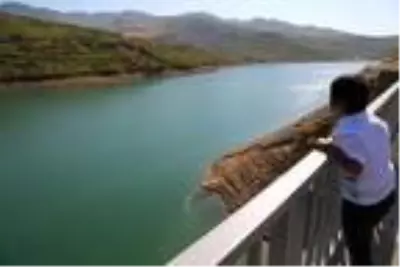 Gülistan Doku'yu arama çalışmaları devam ediyor Gülistan Doku'yu arama çalışmaları devam ediyor