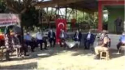 Mandalina hasadına başlandı Mandalina hasadına başlandı