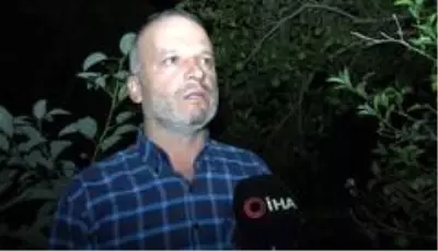 Sabaha kadar tüfekle ve sopayla avokado nöbeti tutuyorlar Sabaha kadar tüfekle ve sopayla avokado nöbeti tutuyorlar