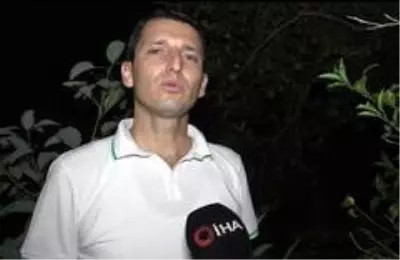 Sabaha kadar tüfekle ve sopayla avokado nöbeti tutuyorlar Sabaha kadar tüfekle ve sopayla avokado nöbeti tutuyorlar