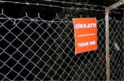 Sabaha kadar tüfekle ve sopayla avokado nöbeti tutuyorlar Sabaha kadar tüfekle ve sopayla avokado nöbeti tutuyorlar