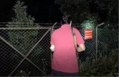 Sabaha kadar tüfekle ve sopayla avokado nöbeti tutuyorlar Sabaha kadar tüfekle ve sopayla avokado nöbeti tutuyorlar