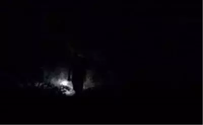 Sabaha kadar tüfekle ve sopayla avokado nöbeti tutuyorlar Sabaha kadar tüfekle ve sopayla avokado nöbeti tutuyorlar