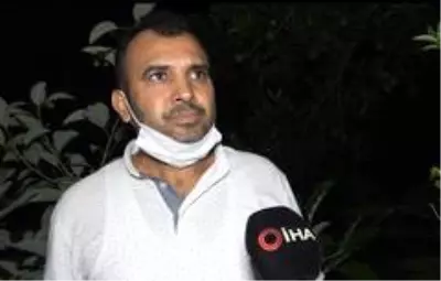 Sabaha kadar tüfekle ve sopayla avokado nöbeti tutuyorlar Sabaha kadar tüfekle ve sopayla avokado nöbeti tutuyorlar