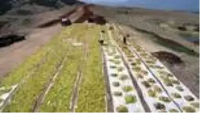 Türk gıda ürünleri Las Vegas'ta tanıtılıyor Türk gıda ürünleri Las Vegas'ta tanıtılıyor
