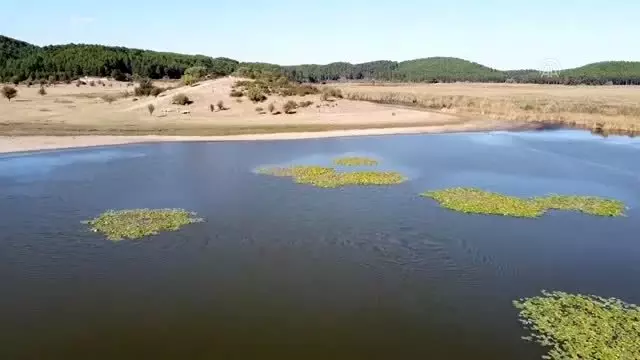 Son dakika haberleri | Yayla Gölü'nde su seviyesi düştü