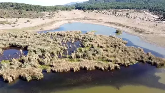 Son dakika haberleri | Yayla Gölü'nde su seviyesi düştü