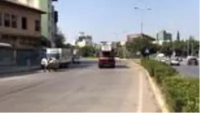 Son Dakika | Adana'da Atatürk Evi Müzesi'ndeki ağaçlara yangın sıçradı Son Dakika | Adana'da Atatürk Evi Müzesi'ndeki ağaçlara yangın sıçradı