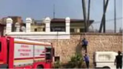 Son Dakika | Adana'da Atatürk Evi Müzesi'ndeki ağaçlara yangın sıçradı Son Dakika | Adana'da Atatürk Evi Müzesi'ndeki ağaçlara yangın sıçradı