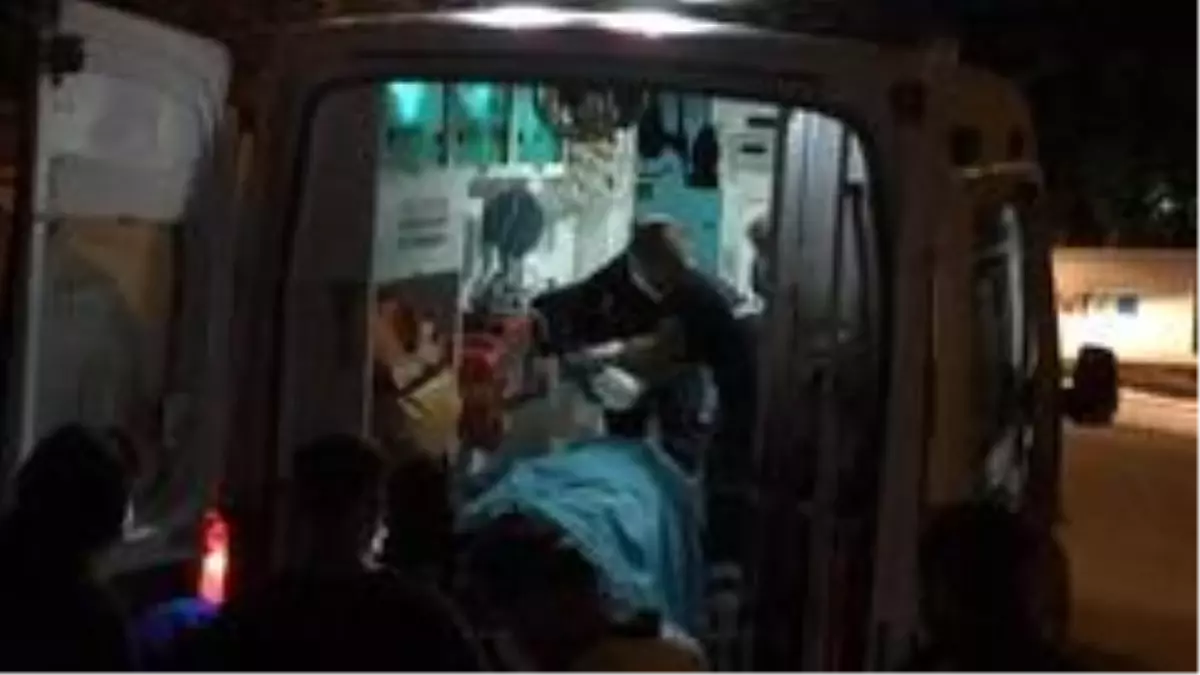 Arı saldırısına uğrayan şahıs hastanelik oldu