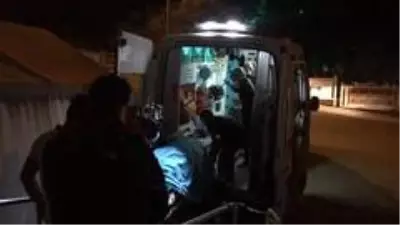 Arı saldırısına uğrayan şahıs hastanelik oldu Arı saldırısına uğrayan şahıs hastanelik oldu
