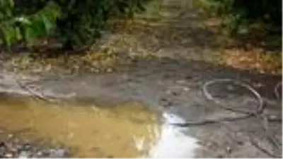 Son dakika haber! İzmir'de bir kişi bahçesinde ölü bulundu Son dakika haber! İzmir'de bir kişi bahçesinde ölü bulundu