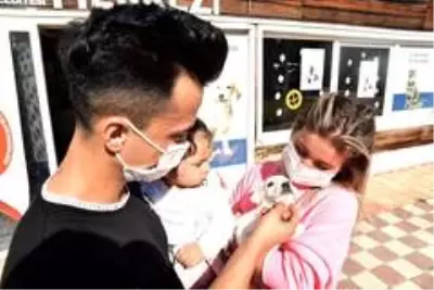 Bir can daha yuvaya kavuştu Bir can daha yuvaya kavuştu