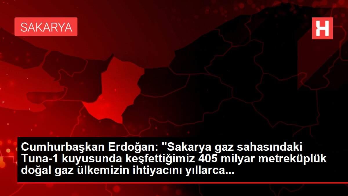 Cumhurbaşkan Erdoğan: 'Sakarya gaz sahasındaki Tuna-1 kuyusunda keşfettiğimiz 405 milyar metreküplük doğal...