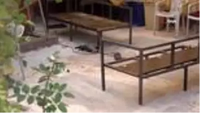 Demir keserken hem kendini hem arkadaşını yaraladı Demir keserken hem kendini hem arkadaşını yaraladı