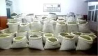 Son dakika haberi: Diyarbakır'da narko-terör operasyonu; 994 kilo esrar ele geçirildi Son dakika haberi: Diyarbakır'da narko-terör operasyonu; 994 kilo esrar ele geçirildi