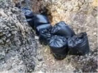 Son dakika haberi: Diyarbakır'da narko-terör operasyonu; 994 kilo esrar ele geçirildi Son dakika haberi: Diyarbakır'da narko-terör operasyonu; 994 kilo esrar ele geçirildi