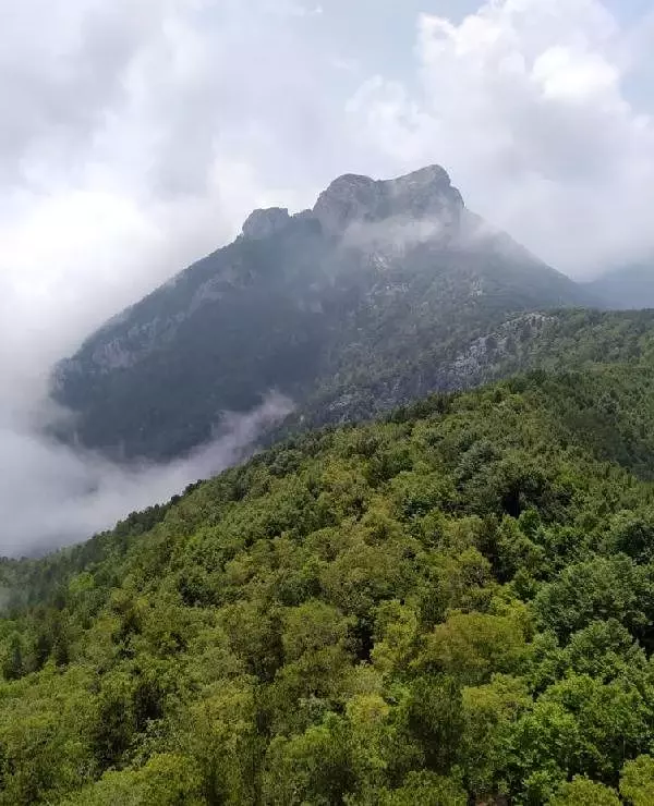 Dörtyol kırsalında 2 terörist etkisiz hale getirildi