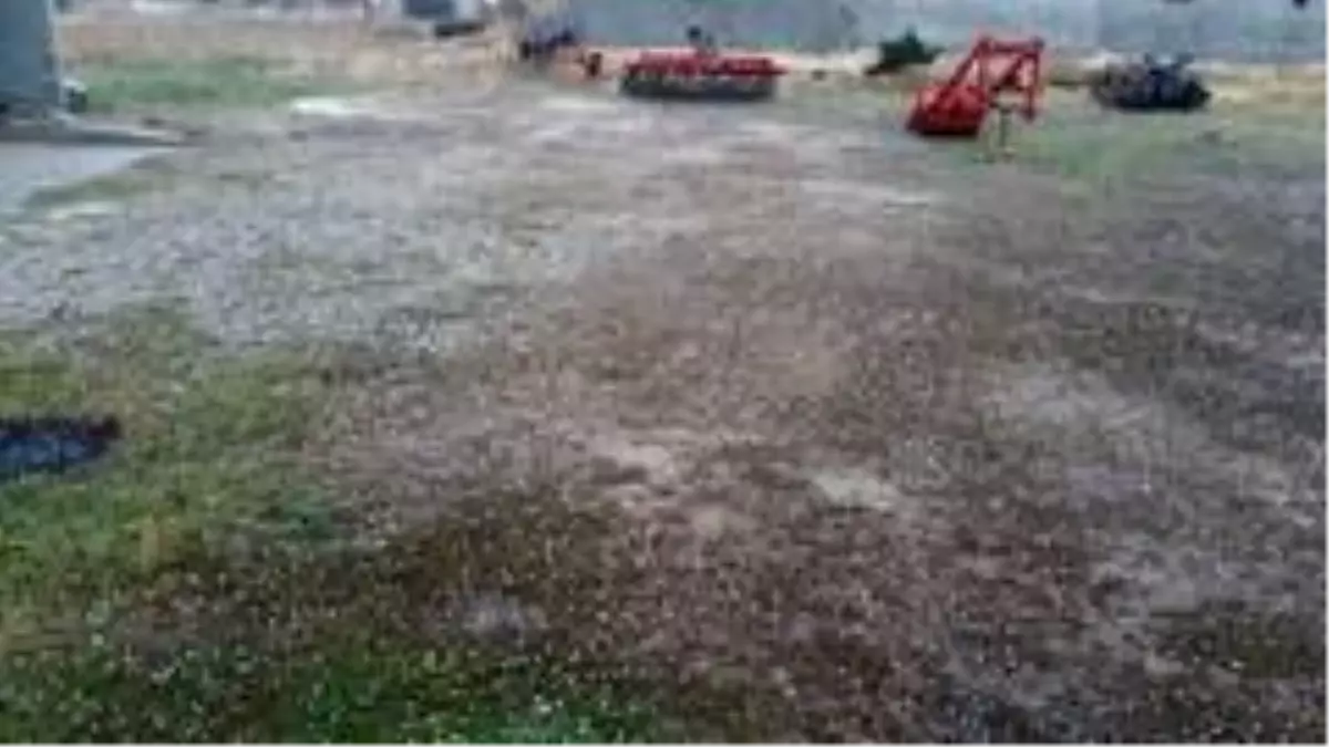 Fındık büyüklüğünde yağan dolu her yeri beyaza bürüdü