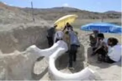Kayseri'de 2 yılda 400'den fazla fosil gün yüzüne çıkarıldı Kayseri'de 2 yılda 400'den fazla fosil gün yüzüne çıkarıldı