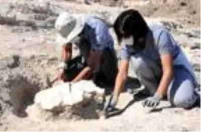 Kayseri'de 2 yılda 400'den fazla fosil gün yüzüne çıkarıldı Kayseri'de 2 yılda 400'den fazla fosil gün yüzüne çıkarıldı