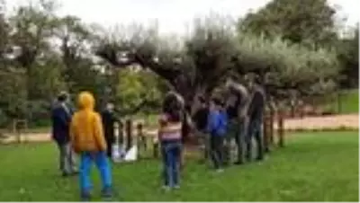 Kemalettin Tuğcu vefatının 24'üncü yılında anıldı