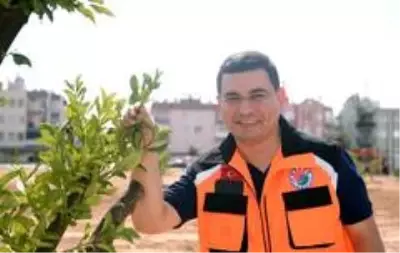 Kepez'e 3 milyon 200 bin metrekare yeşil alan Kepez'e 3 milyon 200 bin metrekare yeşil alan