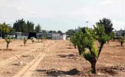 Kepez'e 3 milyon 200 bin metrekare yeşil alan Kepez'e 3 milyon 200 bin metrekare yeşil alan