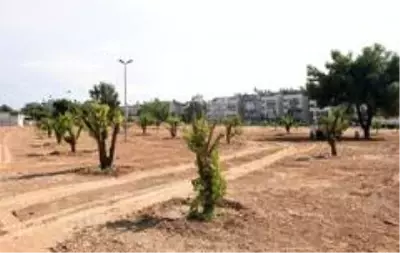 Kepez'e 3 milyon 200 bin metrekare yeşil alan Kepez'e 3 milyon 200 bin metrekare yeşil alan