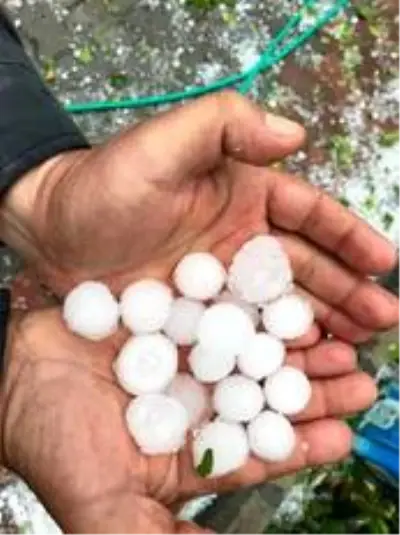 Kırkağaç'ta dolu yağışı hayatı felç etti Kırkağaç'ta dolu yağışı hayatı felç etti