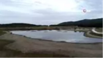 Kuraklık 'Kuş Cenneti'ni de vurdu Kuraklık 'Kuş Cenneti'ni de vurdu