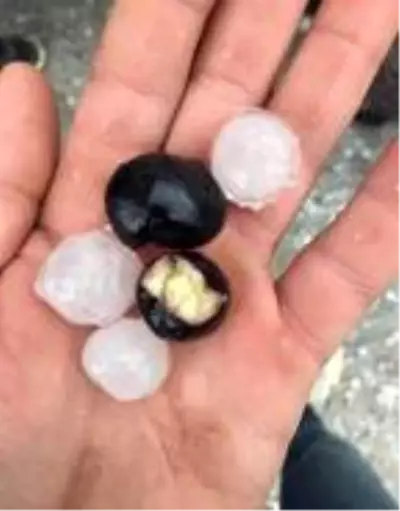Manisa'da sağanak ve dolu Manisa'da sağanak ve dolu