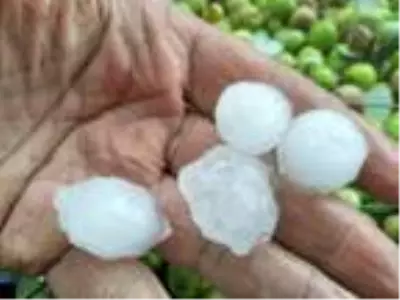 Manisa'da sağanak ve dolu Manisa'da sağanak ve dolu