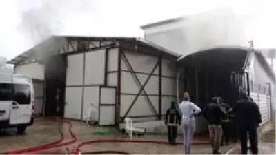 Şimşekler kilolarca eti küle çevirdi Şimşekler kilolarca eti küle çevirdi