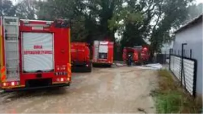 Şimşekler kilolarca eti küle çevirdi Şimşekler kilolarca eti küle çevirdi