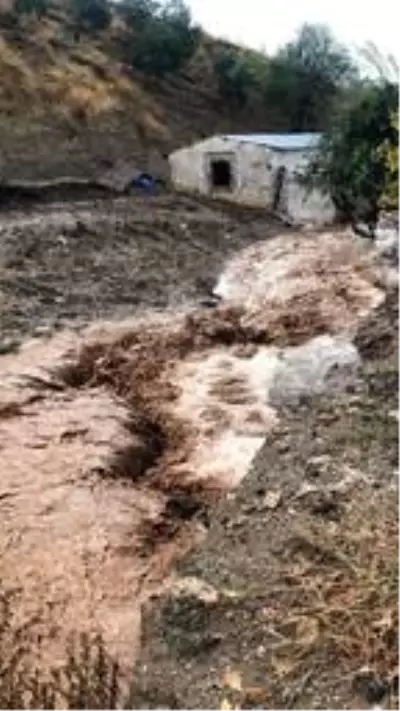 Turgutlu'da sağanak; 2 dere taştı, evler ve ahırlar su altında kaldı Turgutlu'da sağanak; 2 dere taştı, evler ve ahırlar su altında kaldı