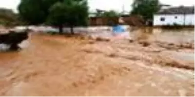 Turgutlu'da sağanak; 2 dere taştı, evler ve ahırlar su altında kaldı Turgutlu'da sağanak; 2 dere taştı, evler ve ahırlar su altında kaldı