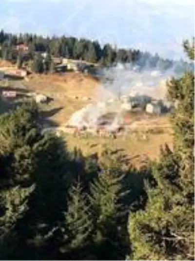 Yaylada yangın; 4 ev kullanılamaz hale geldi Yaylada yangın; 4 ev kullanılamaz hale geldi