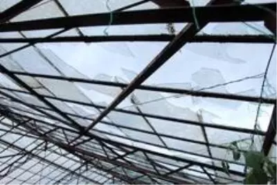 Antalya'da zarar gören seralar havadan görüntülendi Antalya'da zarar gören seralar havadan görüntülendi