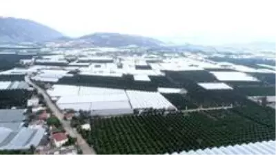 Antalya'da zarar gören seralar havadan görüntülendi Antalya'da zarar gören seralar havadan görüntülendi