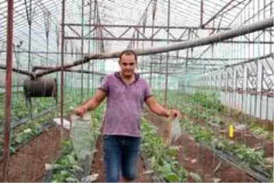 Antalya'da zarar gören seralar havadan görüntülendi Antalya'da zarar gören seralar havadan görüntülendi