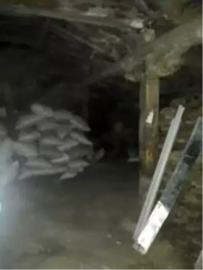Tarihi eser kaçakçıları suçüstü yakandı Tarihi eser kaçakçıları suçüstü yakandı