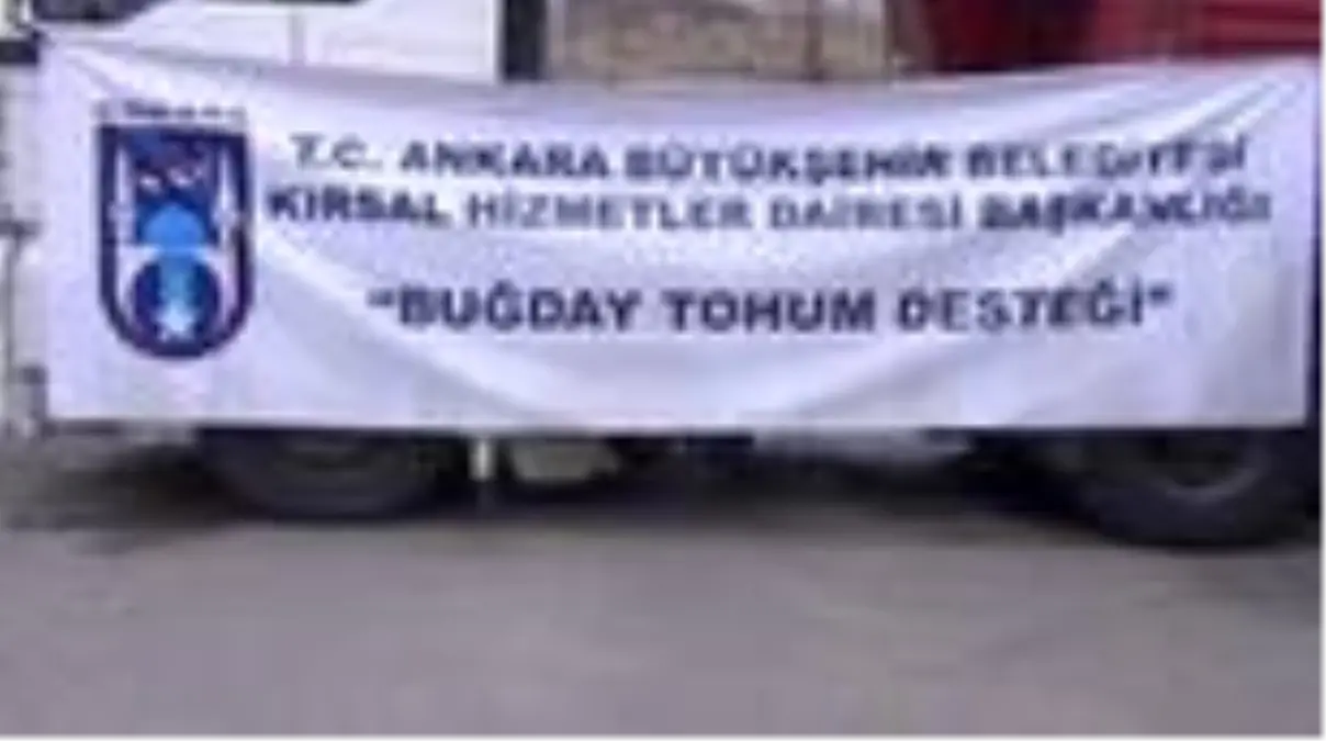 Beypazarı çiftçisine Ankara Büyükşehir Belediyesinden 'buğday alım garantili' tohum desteği