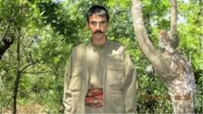 Eylem hazırlığındaki teröristler tutuklandı Eylem hazırlığındaki teröristler tutuklandı