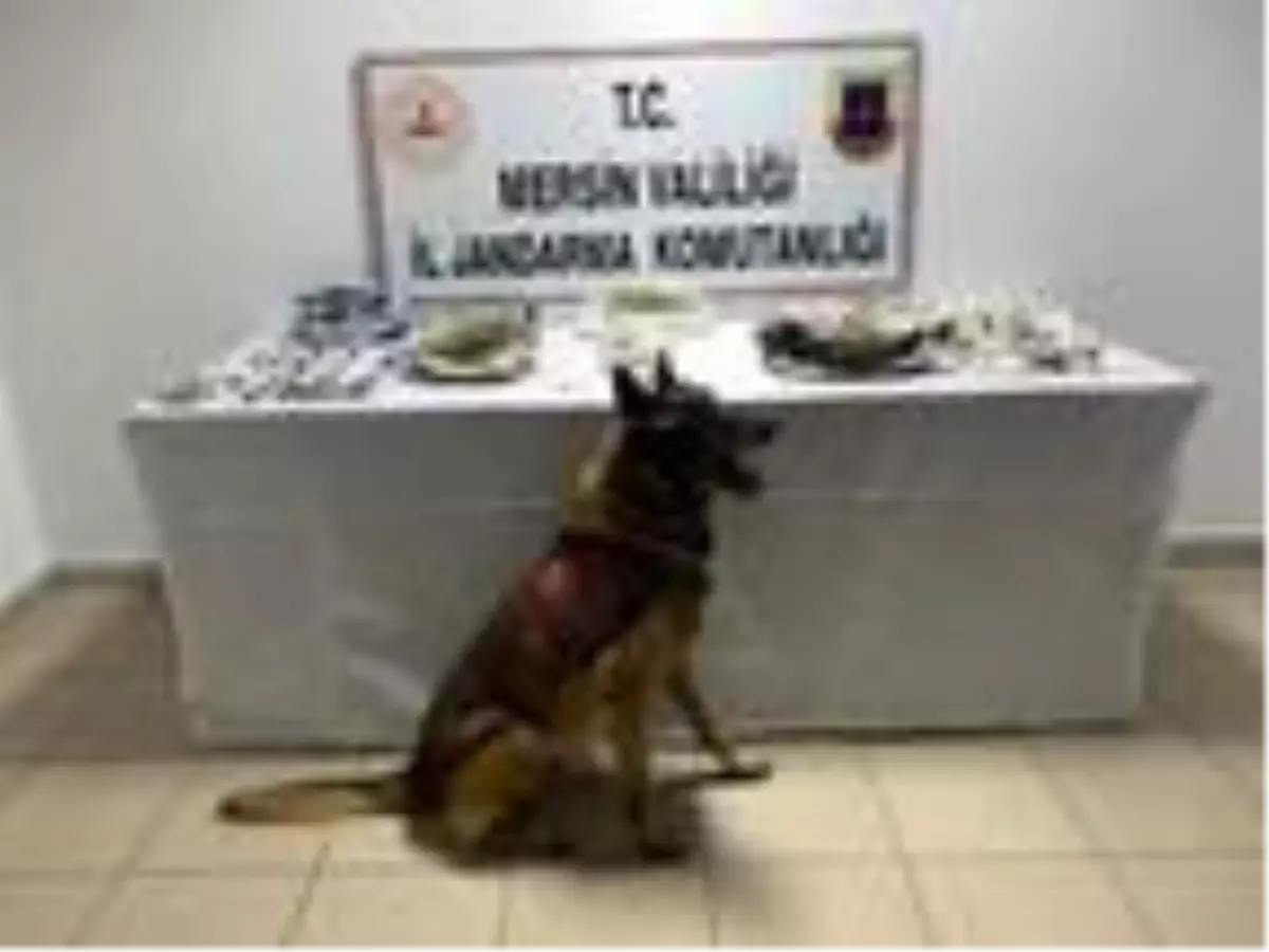 İş yerindeki uyuşturucuyu 'Çaylak' ve 'Dünya' buldu