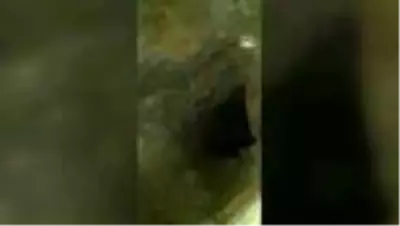 Kaçak kazı yapan 6 kişi suçüstü yakalandı Kaçak kazı yapan 6 kişi suçüstü yakalandı