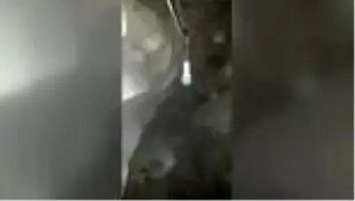 Kaçak kazı yapan 6 kişi suçüstü yakalandı Kaçak kazı yapan 6 kişi suçüstü yakalandı