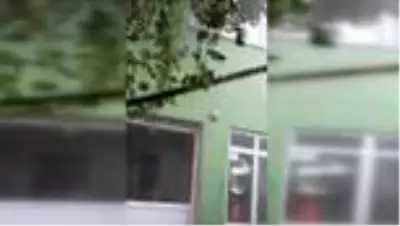 Dolu yağışı meyve ağaçlarına zarar verdi (2) Dolu yağışı meyve ağaçlarına zarar verdi (2)